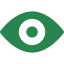 Our Vision
